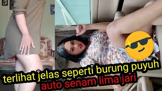 Tiktok Burung Puyuh Burung Ketut Di Makan Biawak Part 2