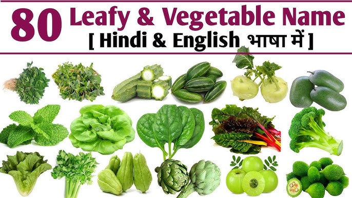 Green Leafy Vegetables Name In English And Marathi With 57 OFF green-leafy-vegetables-name-in-english-and-marathi-with-57-off
