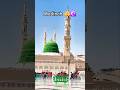 Alhamdulillah My Madinah Tour