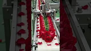 #RoseGarland #FlowerFactory #GulabMala #FactoryMachine #Automation #FlowerProcessing #AmazingMachine