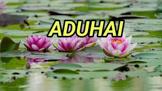 Aduhai  hrhoma Irama Duet Riza Umami Karaoke Cover Style Korg Pa 600  Reyvans