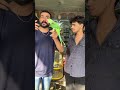 Mashallah 😍 #talkingparot #trending #nonstoptalkingparrot #birds #viralvideo