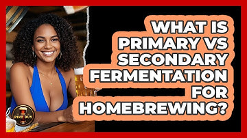 What Is Primary Vs Secondary Fermentation For Homebrewing? - The Pint Guy