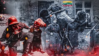 Neįtikėtini gyvūnai kare: kaip Lietuvą gynė kupranugaris