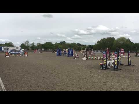 Bronze League Qualifier