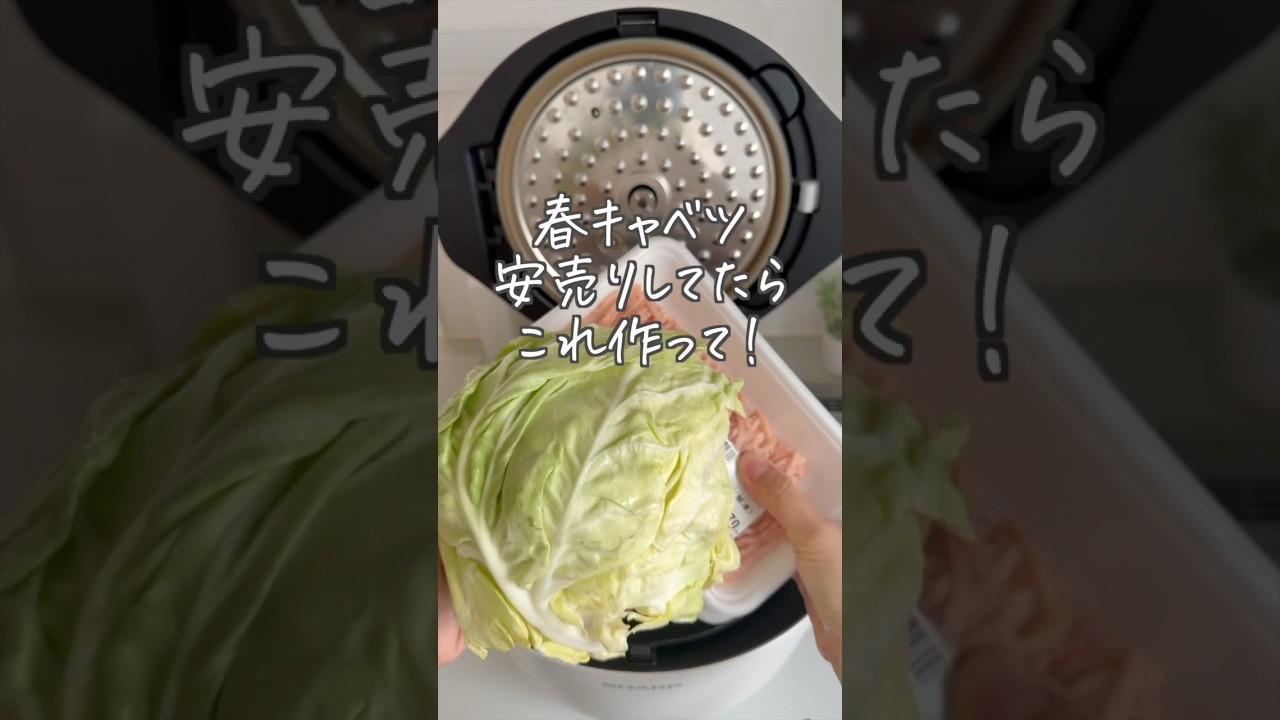 【ホットクックで絶品❣️】春キャベツと鶏団子の旨塩煮