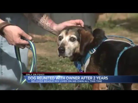 Owner reunited with lost dog after two years