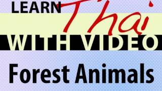 Learn Thai with Video - Forest Animals