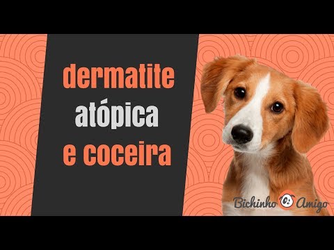 Vídeo: Inflamação Da Pele Devido A Alergias (atopia) Em Gatos