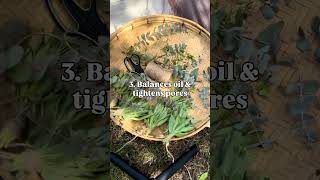 Sage is a skincare powerhouse! With antibacterial, antifungal, and anti-inflammatory properties.