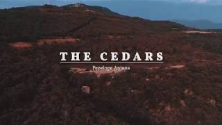 Penelope Antena - The Cedars (Music Video)