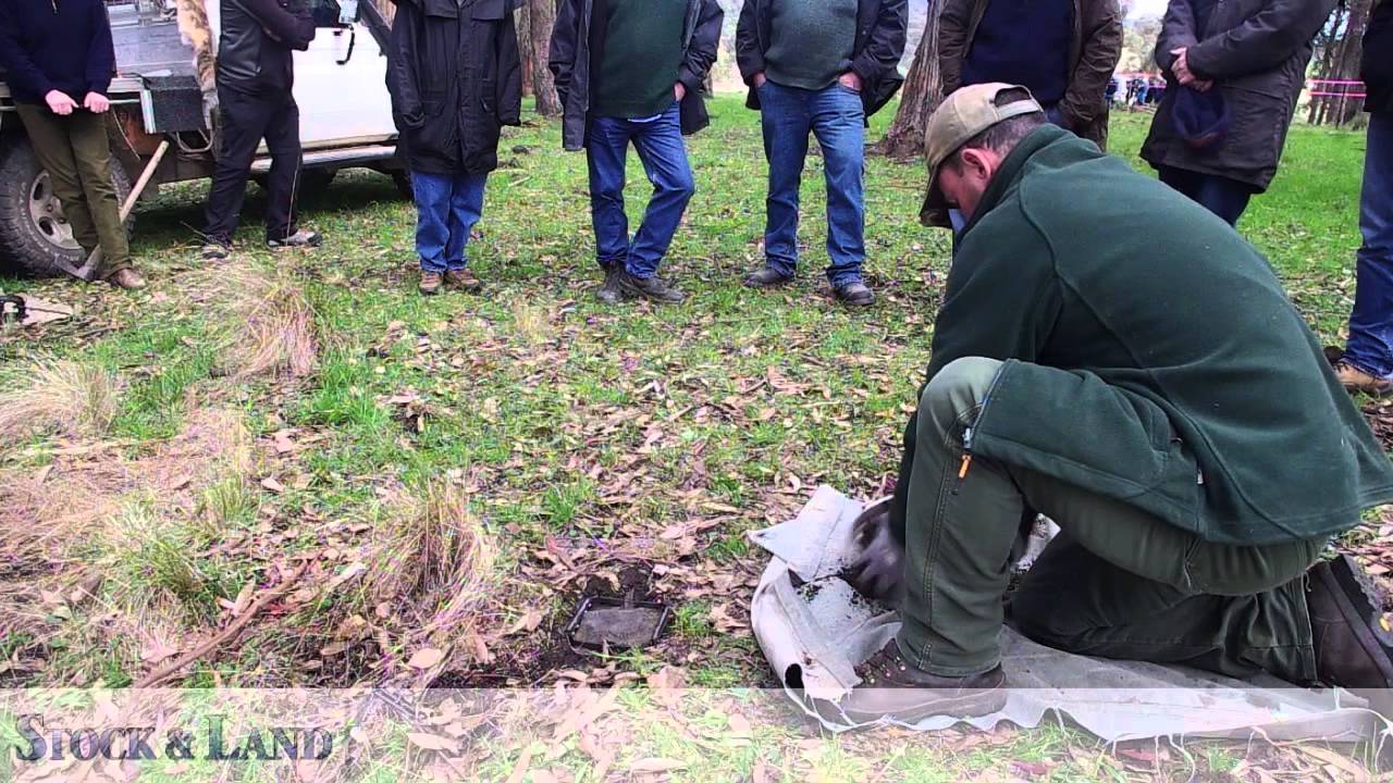 Setting a trap for a wild dog Workshop at Ensay By Jeanette Severs