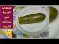 السعرات الحرارية في محشي الكوسا او الكوسة 