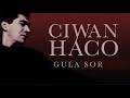 Ciwan Haco Hevala Evîndar Remastered Official Audio Ciwan Haco Hevala Evîndar Remastered Official Audio