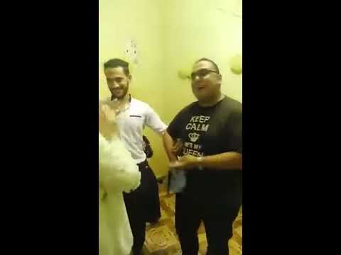 احلى و اطول زغروطه فى كتب كتاب حلال عليك ست الحلوين