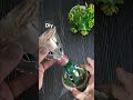 DIY | Beautiful bottle  craft idea | Best out of Waste | Recycled #artandcraft #craftidea
