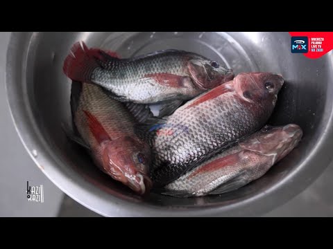 KAZI NI KAZI Vifaranga 3000 Vya Samaki Vilivyomtoa Kimasomaso Kijana Ali Kassim