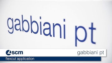 scm gabbiani pt - flexcut application