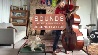 Sounds (Music and Movement) Desensitization- Dog Training- The Human Dog Team screenshot 4
