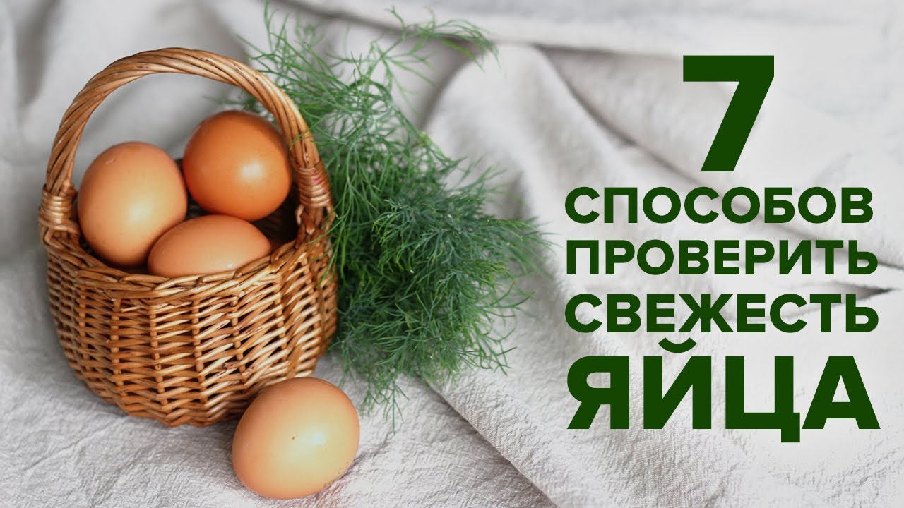 как определить, сыты ли яйца