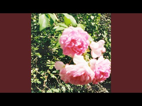 JEREMIAS - Julia