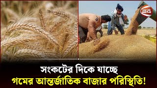 অনিশ্চয়তা তৈরি হয়েছে গমের বৈশ্বিক উৎপাদন ও বাণিজ্যে | Wheat | Business | Agriculture | Channel 24