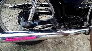 Bajing aspal