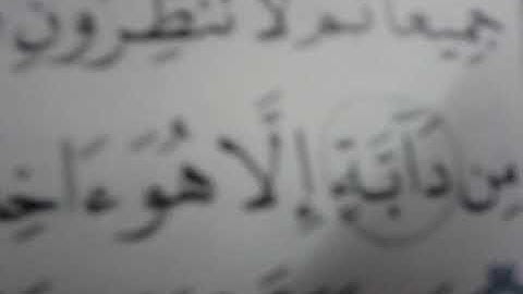 8_ سورة هود * ٥٤ إلى ٦٠ * عواطف عزب