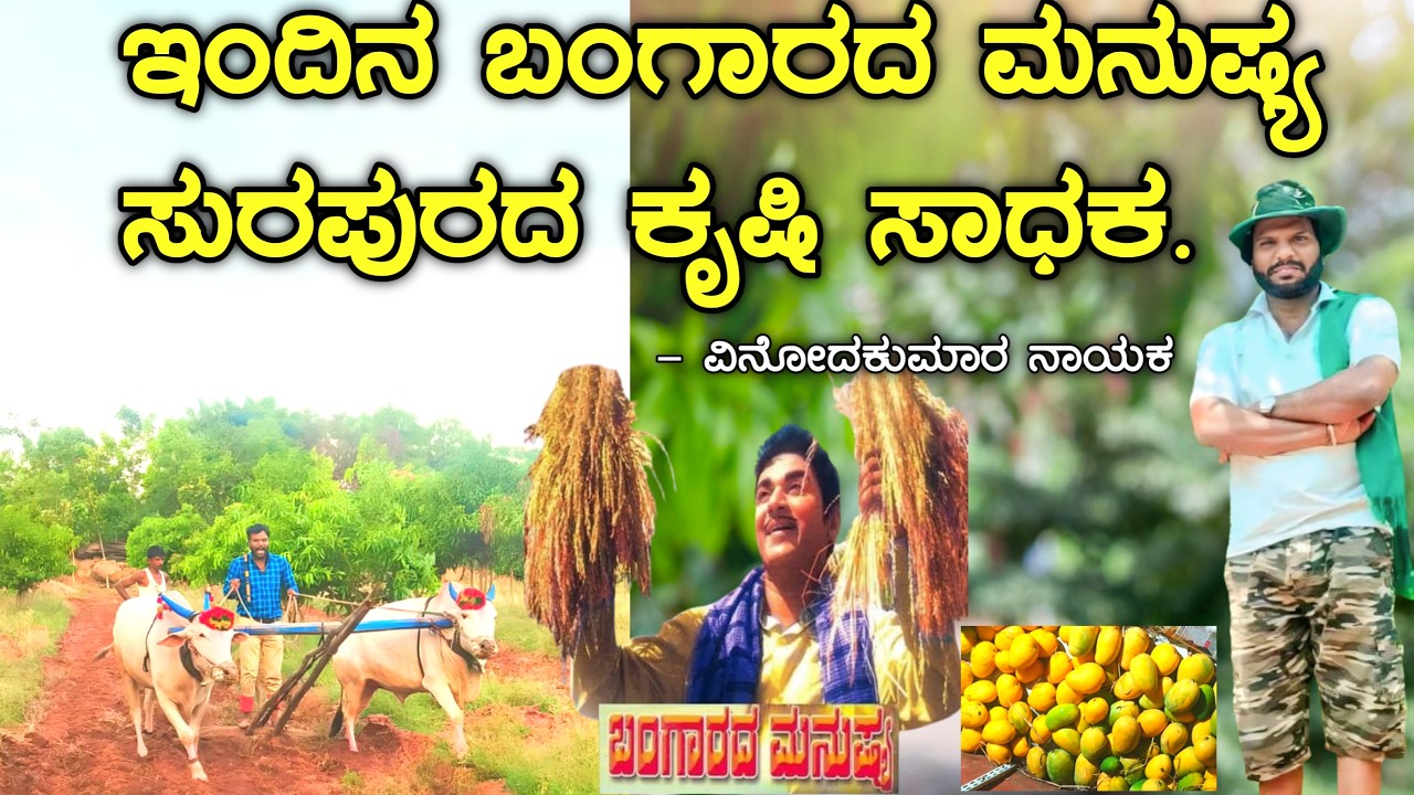 ಬಂಗಾರದ ಮನುಷ್ಯ ಸಿನಿಮಾದ ಪ್ರೇರಣೆಯಿಂದ ಕೃಷಿಯಲ್ಲಿ ಸಾಧನೆ ಮಾಡಿದ ಅಧಿಕಾರಿ.
