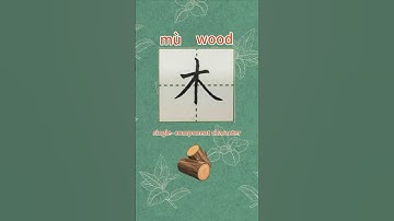 43【木mù】Chinese character stroke/read and write wood in Chinese/pinyin