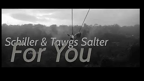 Schiller & Tawgs Salter - For You