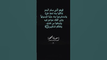 سورة النحل الآية ١٤ الى ١٦ بصوت الشيخ ماهر المعيقلي #القرآن  #القران_الكريم_في_الصباح