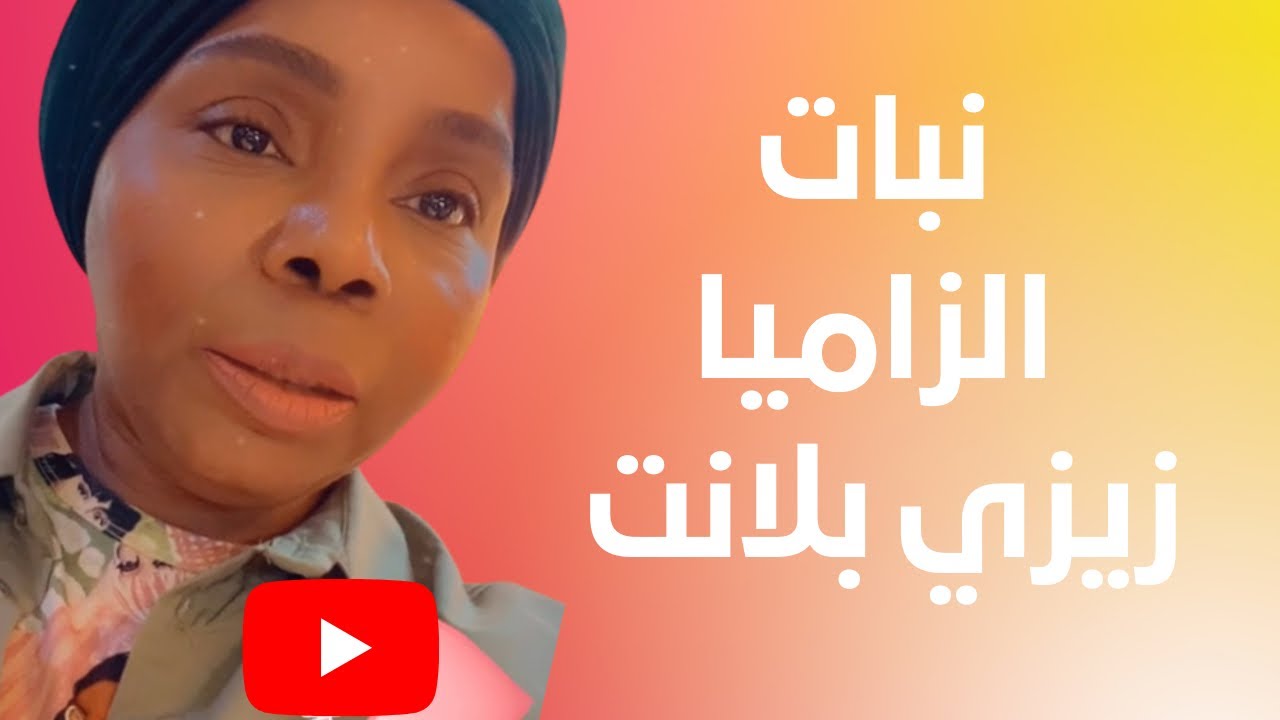 اكتشف سر نجاح نبات الزاميا زيزي بلانت