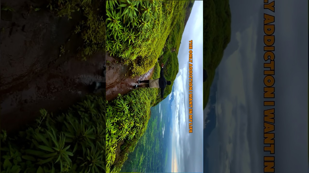 Mountain’s Travelling 