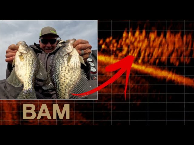 Crappie Techniques (that you must learn) 