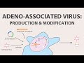 2) Adeno Associated Virus (AAV) - Production and Modification of AAV