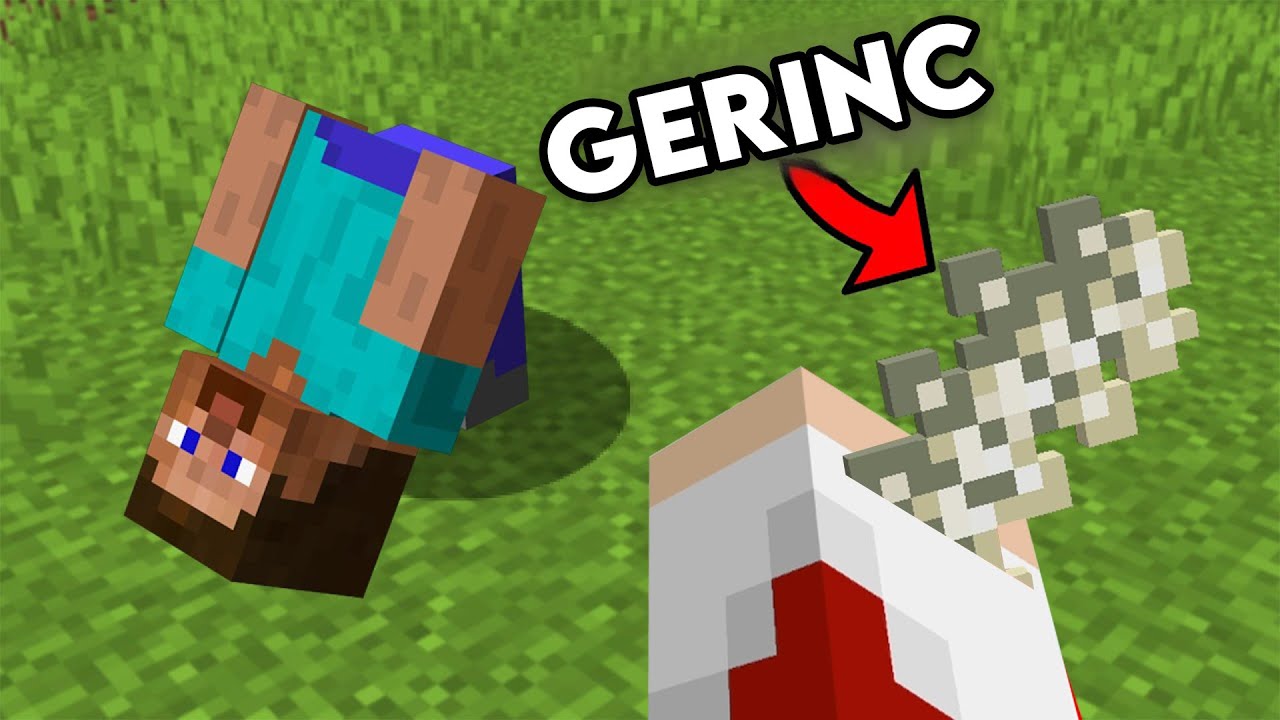 18 Őrült Minecraft Mítosz MŰTÉTEK Segítségével!