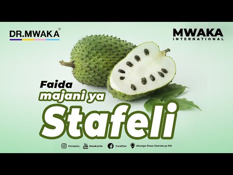 𝐔𝐓𝐀𝐒𝐇𝐀𝐍𝐆𝐀𝐀 𝐅𝐀𝐈𝐃𝐀 𝐙𝐀 𝐌𝐀𝐉𝐀𝐍𝐈 𝐘𝐀 𝐒𝐓𝐀𝐅𝐄𝐋𝐈 