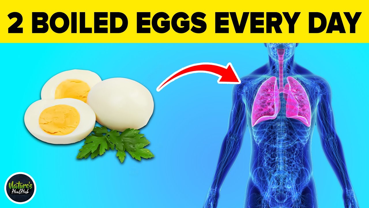 What Happens When You Eat 2 Boiled Eggs Everyday YouTube what-happens-when-you-eat-2-boiled-eggs-everyday-youtube