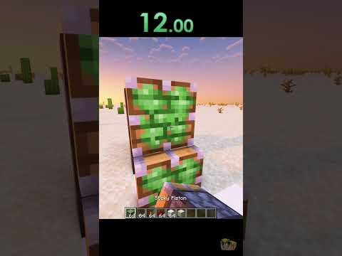 Minecraft World Record🌍 #shorts