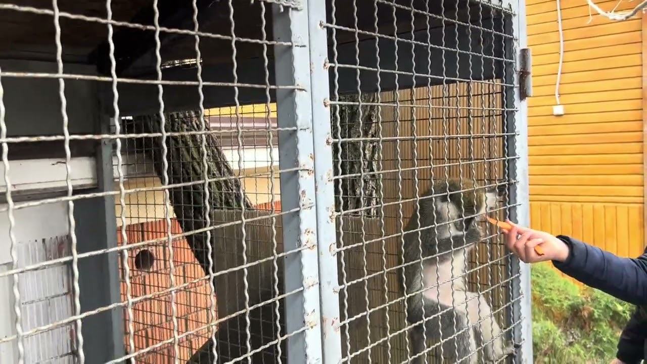 Прогулка по загородному комплексу Эколандия в Одесской области 