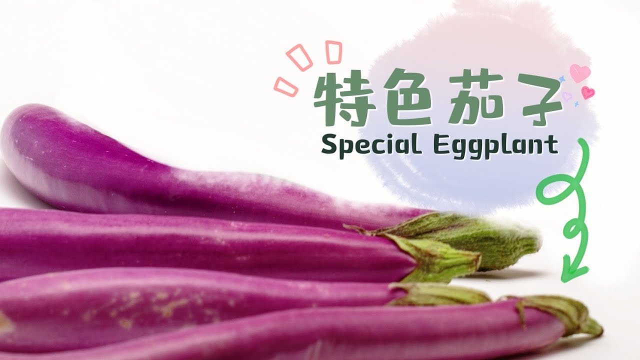 特色茄子（矮瓜）煮法简单，只需两种食材[非试不可】| Special