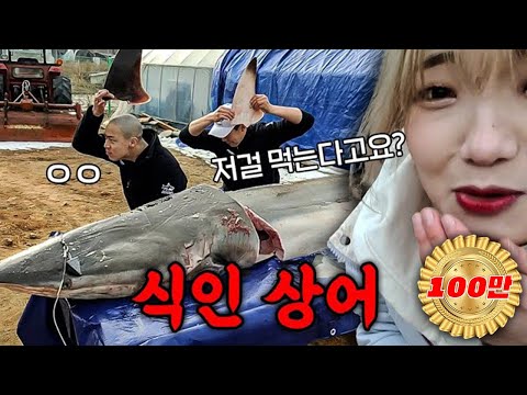 130kg 식인 상어를 해체부터 요리.. 먹방까지ㄷㄷ