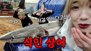 285lb Killer Shark, from Dissection to Cooking.. and Mukbang