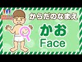 かお編|体(からだ)のなまえ覚えてみてね(英語字幕あり)|子供向け知育動画