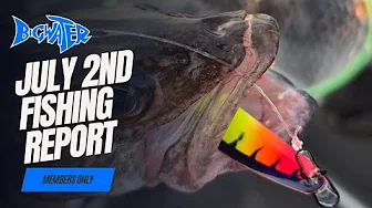Lake Erie Fishing Report - July 2, 2025