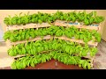 Recycling Pallet to Grow Vegetables at Home, Easy for Beginners | TEO Garden