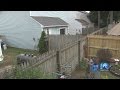 Chris Horne on neighbor dispute over property line