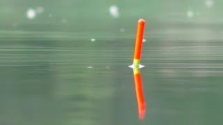 Рыбалка  Ловля карася поплавочной удочкой на кукурузу.My fishing