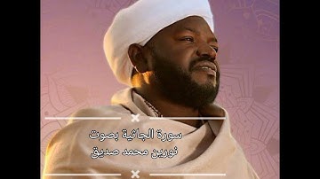 045 - سورة  الجاثية بصوت نورين محمد صديق (بدون إشهار)